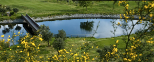 Filanda Golf Resort